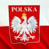 Why Poland Is Not Russia: Protest Actions against Their Analogue of "Edinaya Russia"
