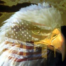 ������ � �������