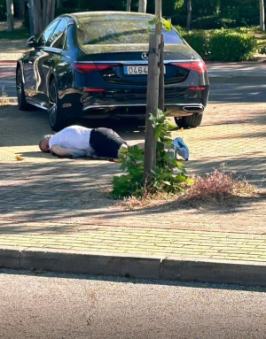 ���������� ��������� ��� � �������